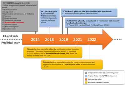 CAXII inhibitors: Potential sensitizers for immune checkpoint inhibitors in HCC treatment